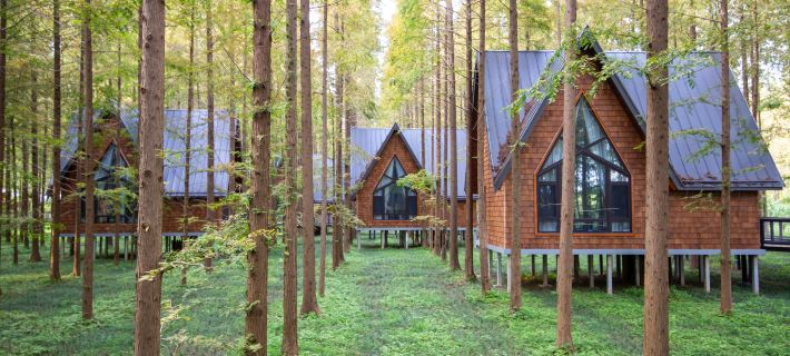 Dongtai Huanghai Forest Park Cabin Cluster Hotels in Dongtai