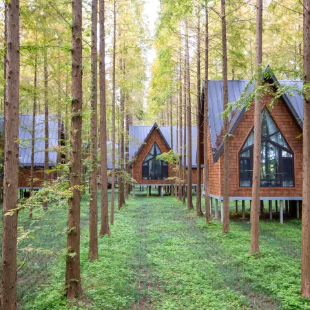 Dongtai Huanghai Forest Park Cabin Cluster