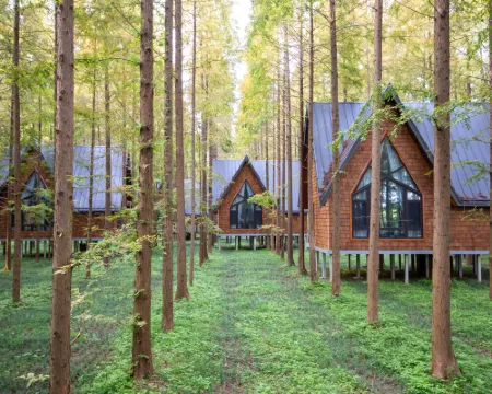 Dongtai Huanghai Forest Park Cabin Cluster Hotels in Dongtai