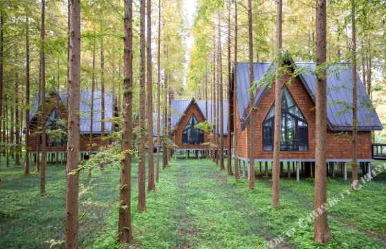 東台黃海森林公園木屋羣落