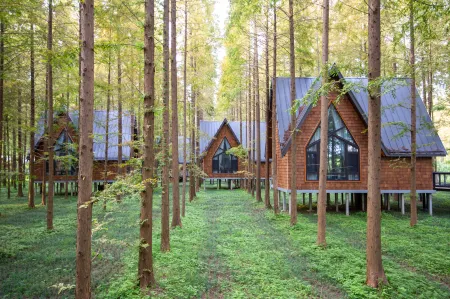Dongtai Huanghai Forest Park Cabin Cluster