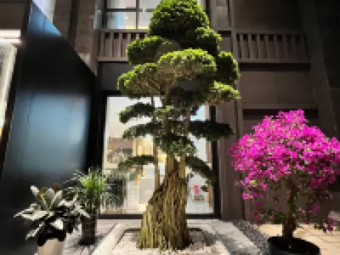 Jintang Chaoshell Baopo Hotel Hotel di Jintang County