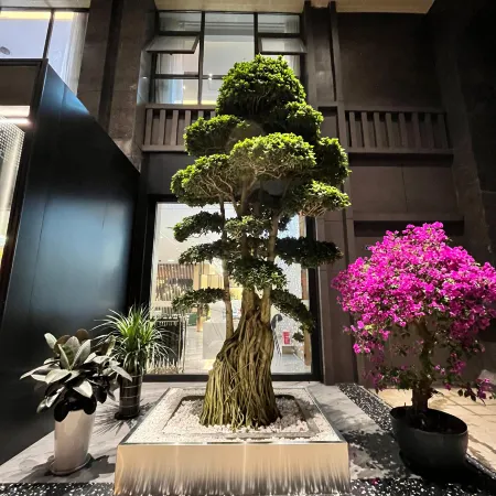 Jintang Chaoshell Baopo Hotel