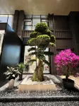 Jintang Chaoshell Baopo Hotel