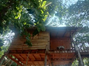 Ebon Tree Lodge