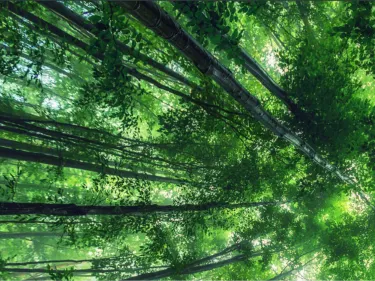 Nise Produits Refrigerés