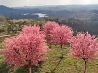 Sirine​ Onsen​ รีสอร์ทออนเซนวิวทะเลหมอก โรงแรมใกล้The Most เขาค้อ-ลานกางเต็นท์