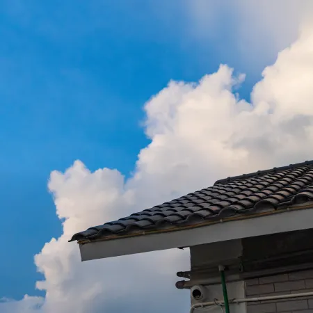 Wanfenglin Ximiao Homestay