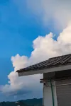 Wanfenglin Ximiao Homestay - pemandangan pegunungan