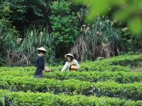 武夷山陶然有山茶空间美学度假山居 - 健身娱乐设施