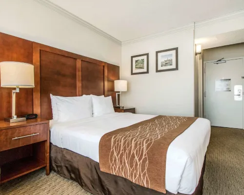 Comfort Inn by the Bay Hotels near Fort Point