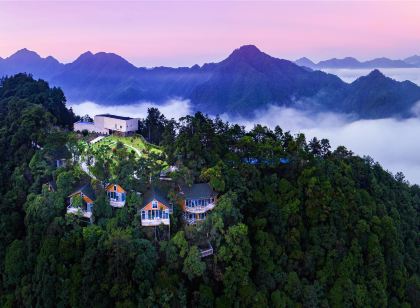 Yinxin'gu Treehouse Hotel