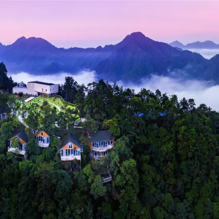 Yinxin'gu Treehouse Hotel
