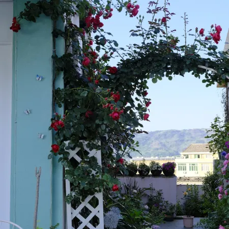 Cangnan Banxia Xiaozhu Homestay