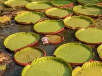 BaanRaiKhunYa Hotels near Hellfire Pass Memorial Museum