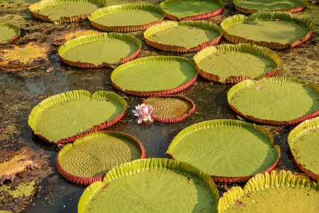 BaanRaiKhunYa Отели рядом с достопримечательностью «Sai Yok National Park»