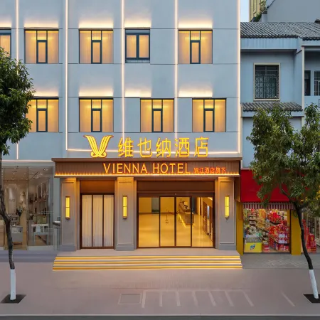 Vienna Hotel (Guangnan High-Speed Rail Station Branch