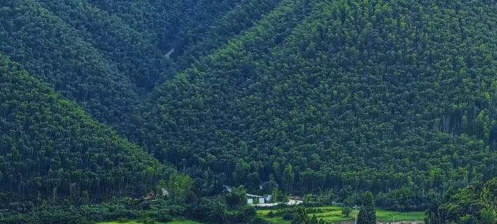 Anji Banxia Homestay (Anji Yunshang Grassland Resort Store) Hotels in Anji County