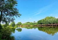 Youth Apartments (Bilberry Manor, Yichun)