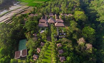 Maya Ubud Resort & Spa
