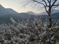 广州从化溪头村和记山水居民宿 - 酒店附近