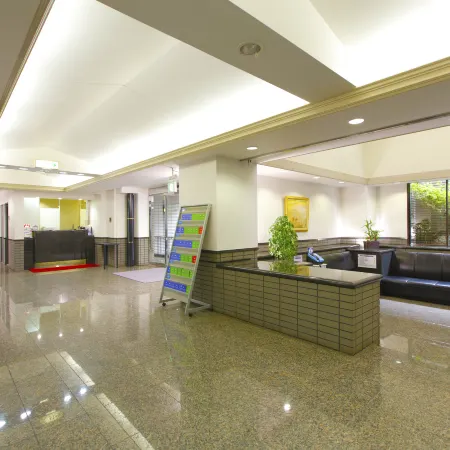 Flexstay Inn Shinurayasu Отели в г. Ураясу