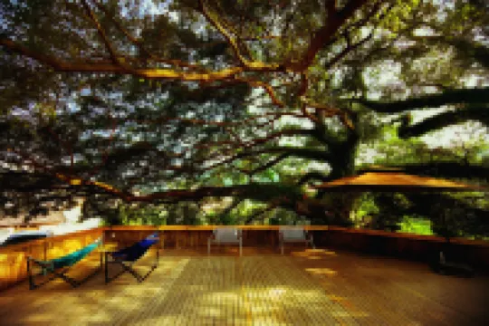 Gulou Homestay
