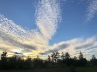 Mohe Fangfei Homestay