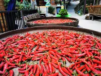 Longji · linshe B & B (Longji terrace Jiulong Wuhu landscape store)
