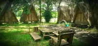 Fandee Island - Tad Lo - Bolaven Loop Pakse - Pet friendly