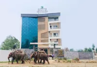 Hotel Aikawa Hotels in Sauraha