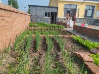 Wulagai Management Area Jiaxing Homestay
