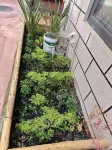 Yunhao Homestay
