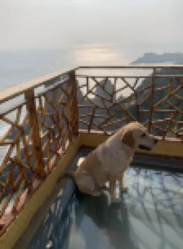 Taizhou Dachen Island Wanghaiyunjuhotel