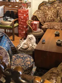 Shangri-La Xiaokou Chaiqi Inn