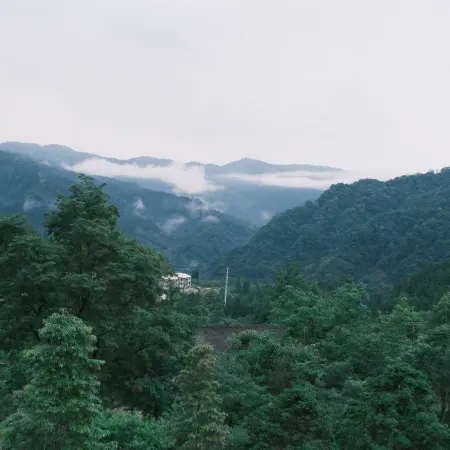 Moyin Mountain Residence Leisure Homestay (Longcanggou National Forest Park)