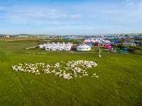 Hulunbuir Ergun Cangye Xinghe (Heishantou) - navetta aeroportuale