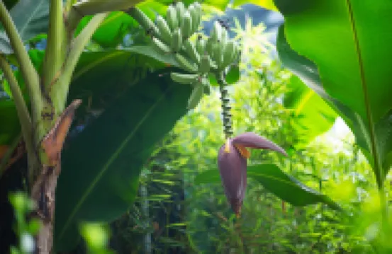 Junyi Courtyard Hotel (Zhangjiajie National Forest Park) Hotels near Zhangjiajie National Forest Park