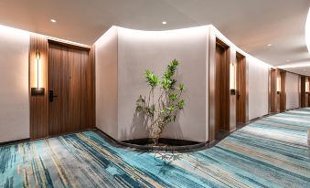 Color and Light Hotel Beijing Guomao CBD