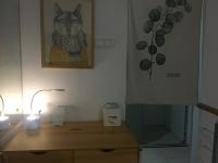 爱旅行的插画师公寓(文昌2号店) - 其他