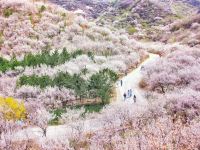 北京八达岭桃花源民宿 - 酒店附近