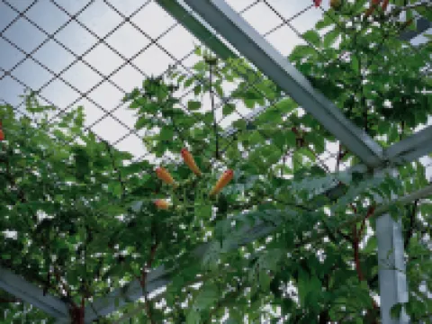 Floral Hotel·No.76 Designer Boutique Hotel (Huimin Street Branch, Zhonglou Subway Station, Xi'an)