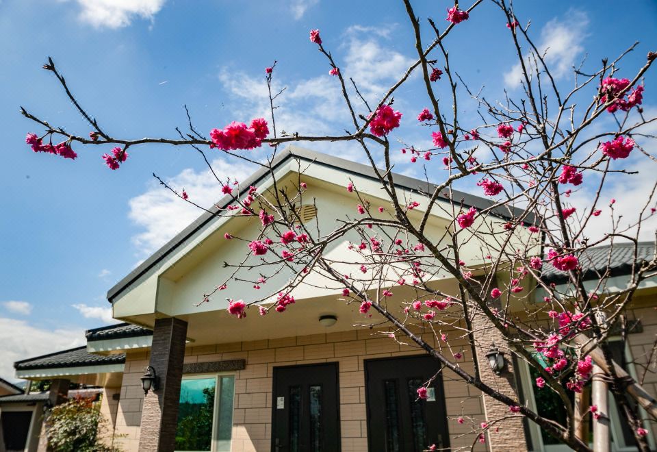 컨트리사이드 B & B