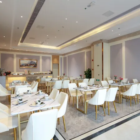 Vienna Hotel (Lingao Store)