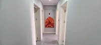 Dream butterfly