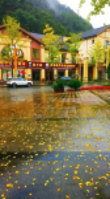 Baphi  sen Yueting Homestay