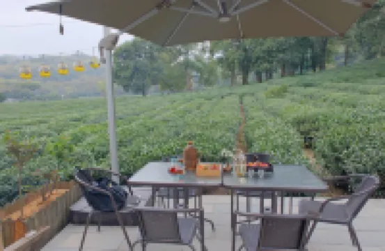 Hangzhou Yinxi Tea House (West Lake Lingyin) Hotels in 