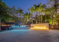 Xishuangbanna Peacock Valley Hot Spring VILLA Resort