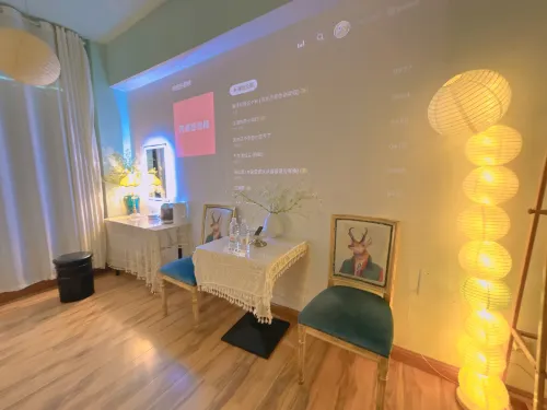 Zibo White Moonlight Homestay (Badaju The Mixc) - Balkoner