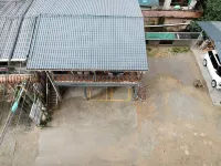 Nankunshan Forest Park Quanshuiwan Elevator Homestay